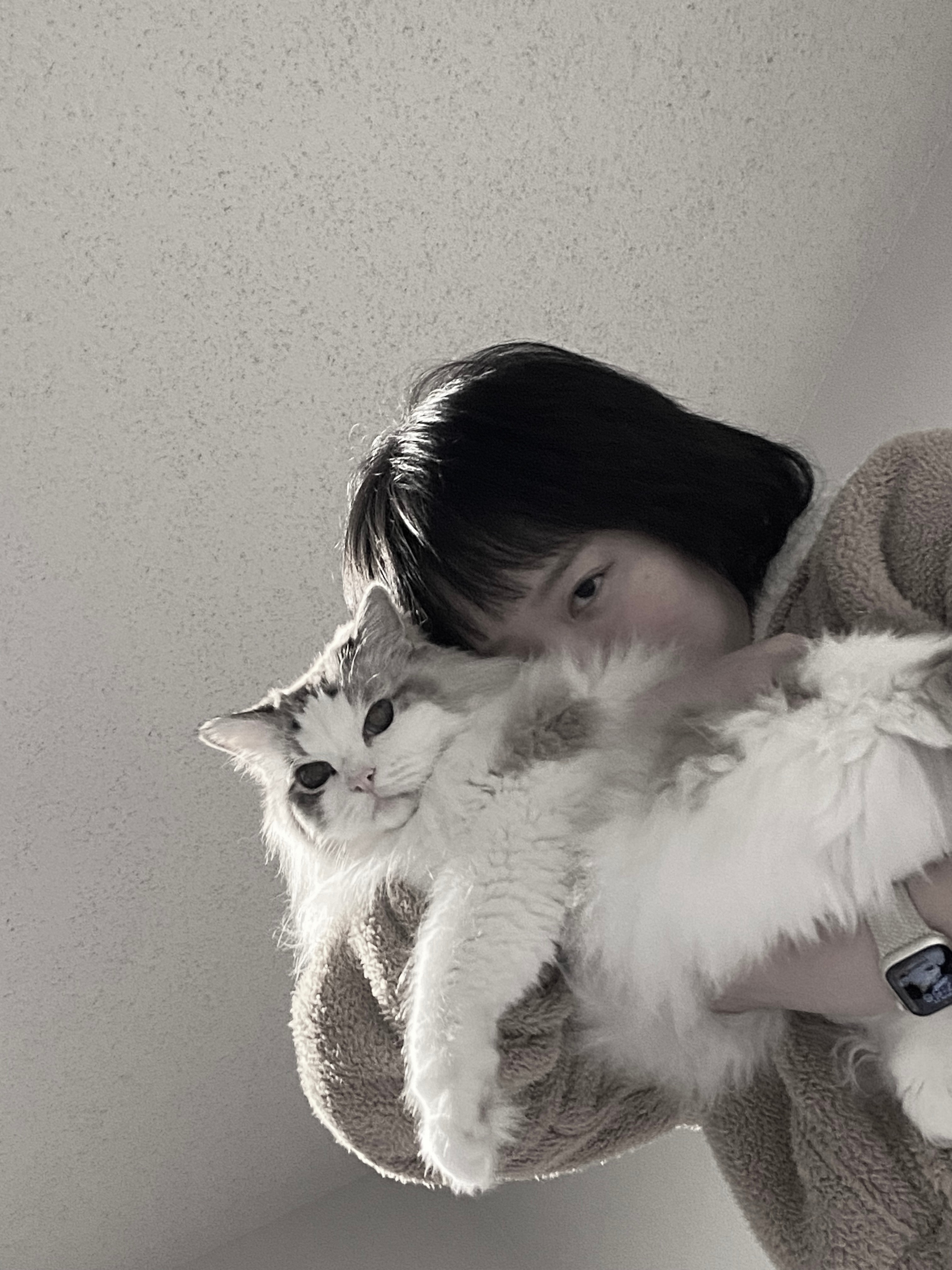 A person holding her cat while facing the camera.